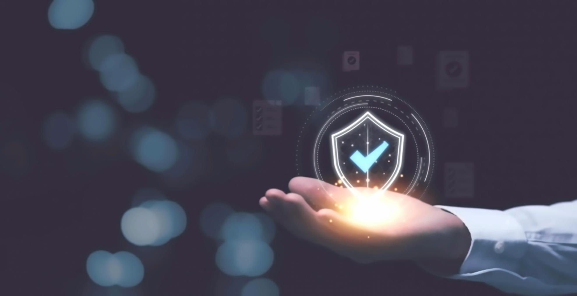 Environnement de travail collaboratif pour le SEO technique